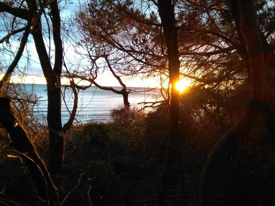 Golfo di Maremma Village Albinia Esterno foto